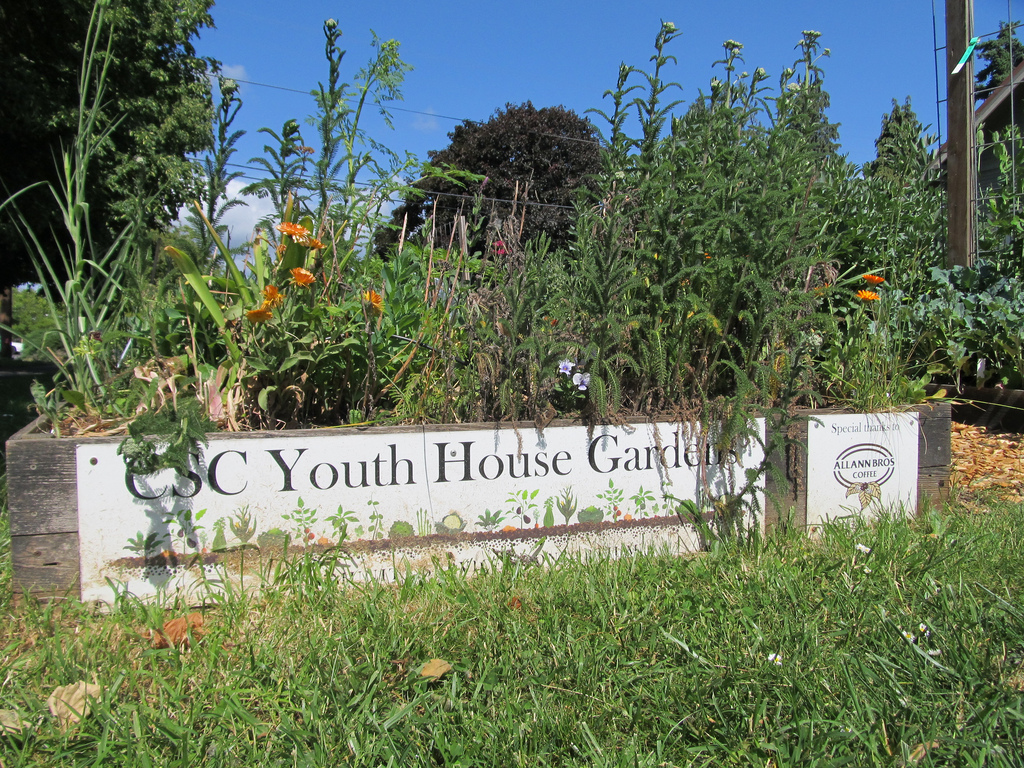 Changing Lives, One Tomato at a Time... 1 Acre, 7 Teen Workers, 200