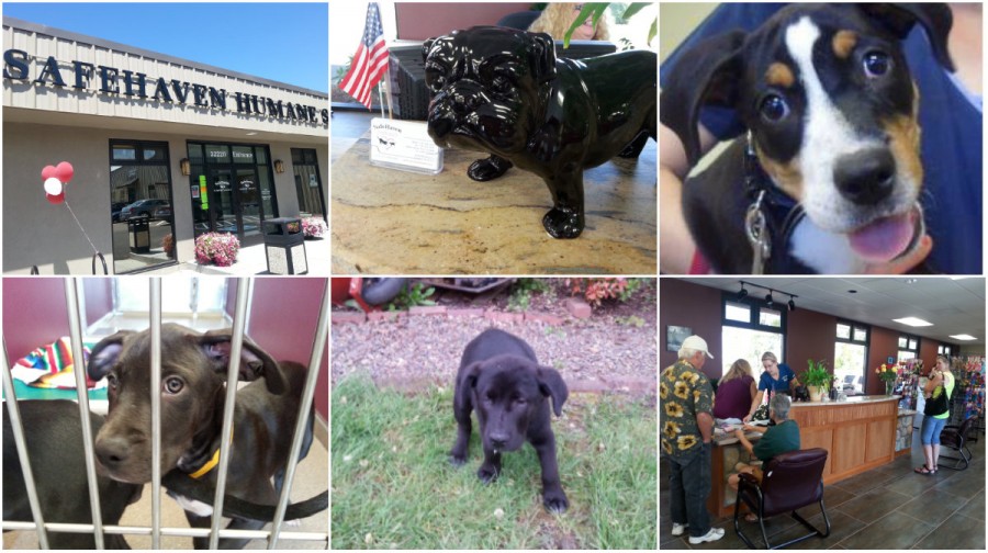 Gimme Shelters The Corvallis Advocate