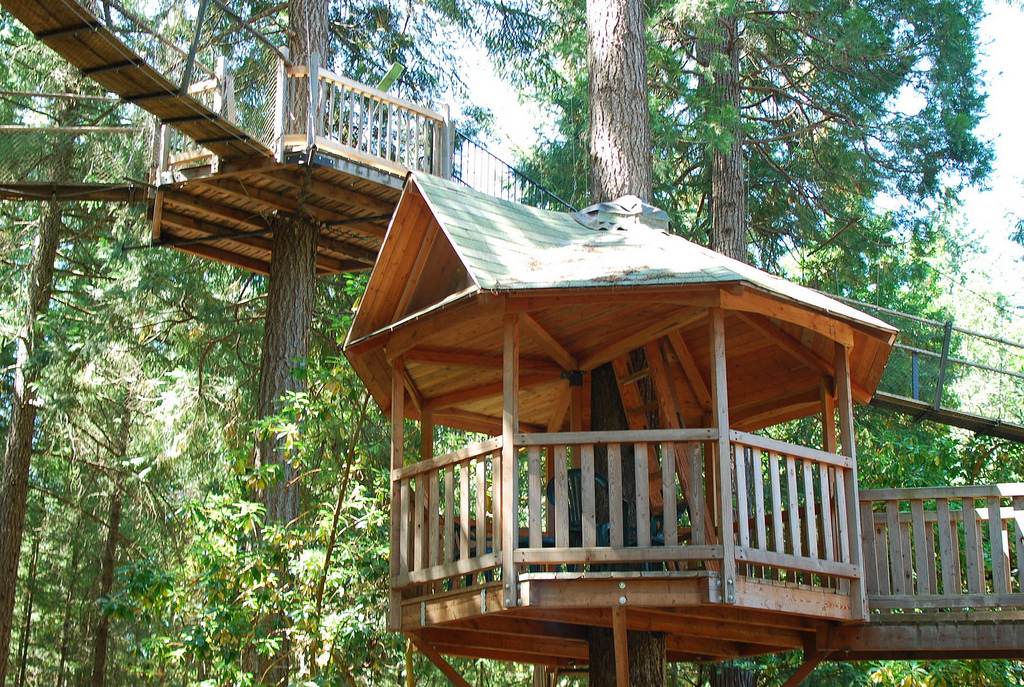 Tree House Boom Move Over, Tiny Homes The Corvallis Advocate