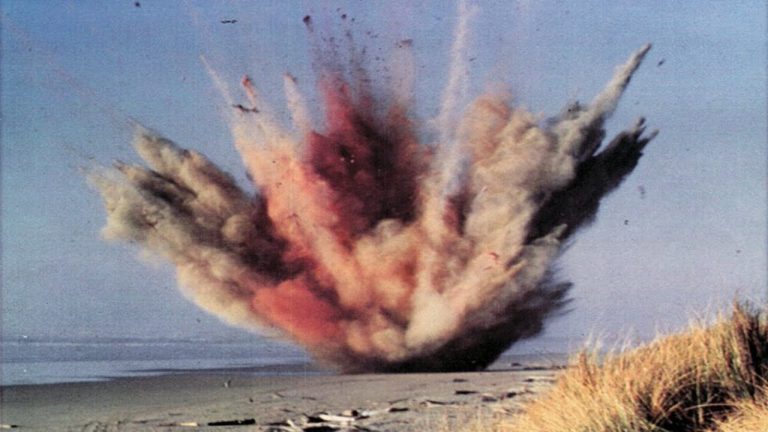 Florence Opens Exploding Whale Memorial Park - The Corvallis Advocate