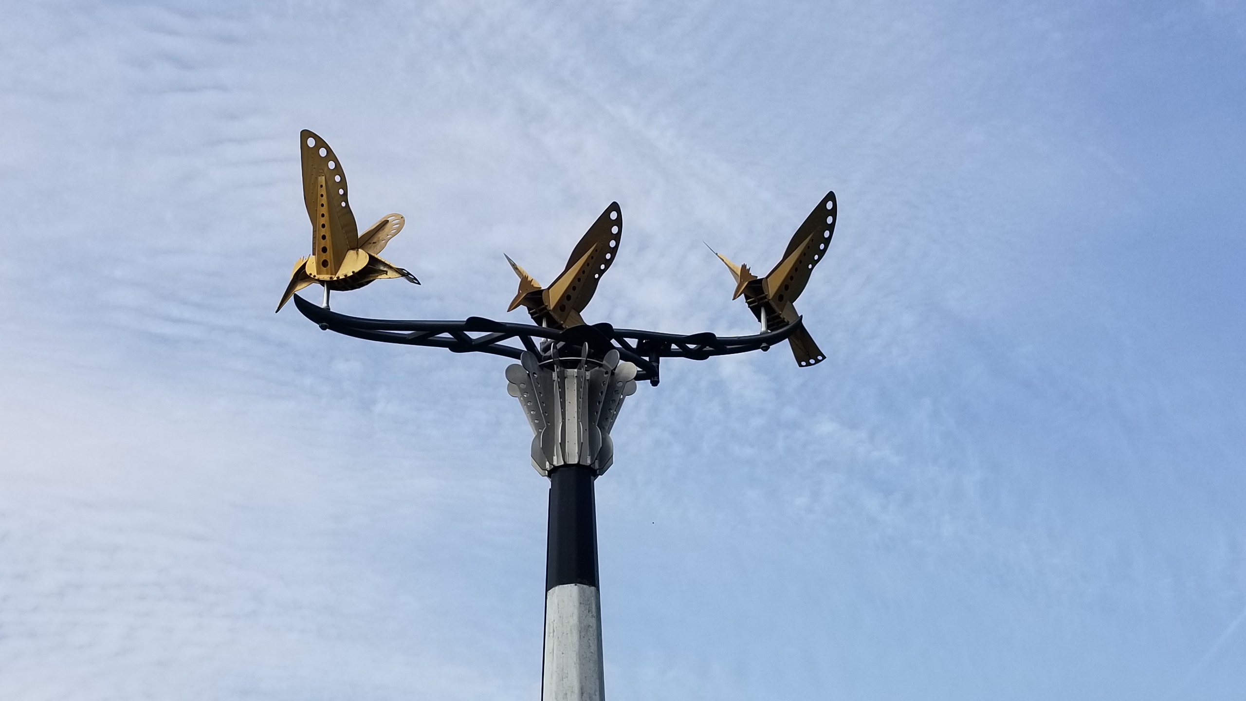 Animals in Art in Corvallis - The Corvallis Advocate - Vimarsana News
