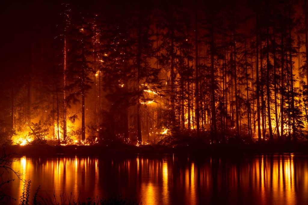 The Aftermath of the Holiday Farm Fire The Corvallis Advocate
