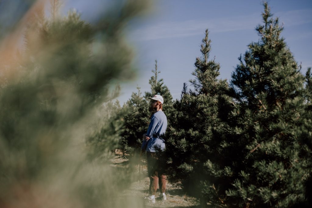 Christmas Trees Suffer Shortage, Prices Rise The Corvallis Advocate