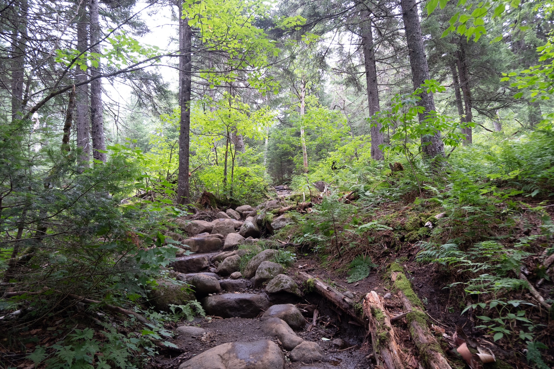 Recreational Trails Programs Looking for Grant Applications The