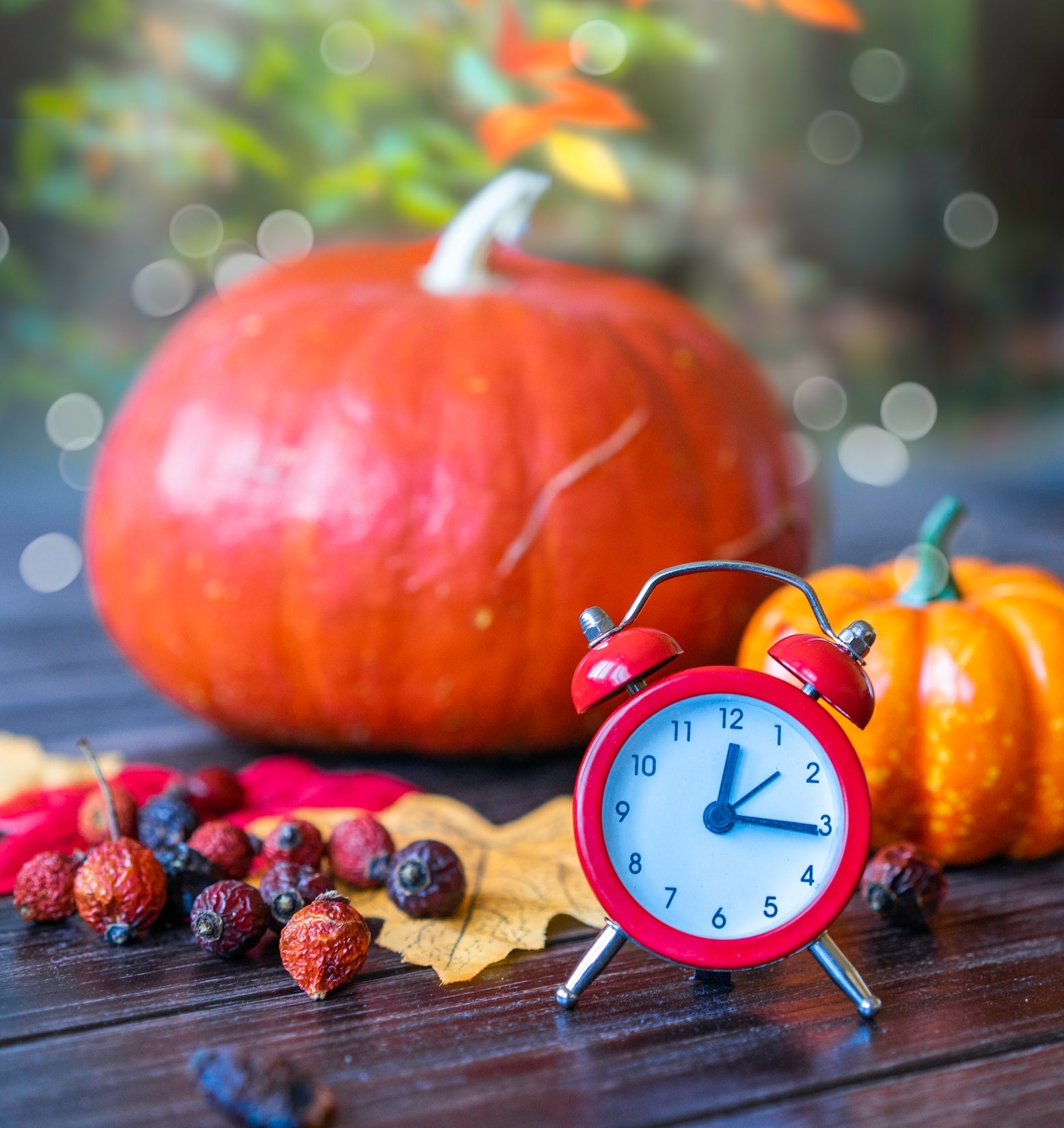 Corvallis Calendar Friday Afternoon to Monday Evening The Corvallis