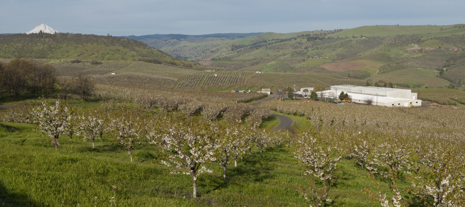 Oregon Farmland Values Skyrocket, Triples National Increases The