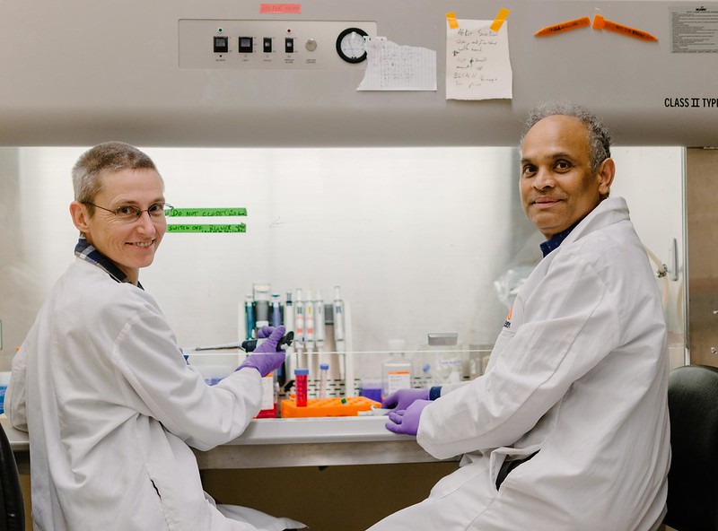 OSU Researchers Find a New Way to Kill Breast Cancer Cells - The ...